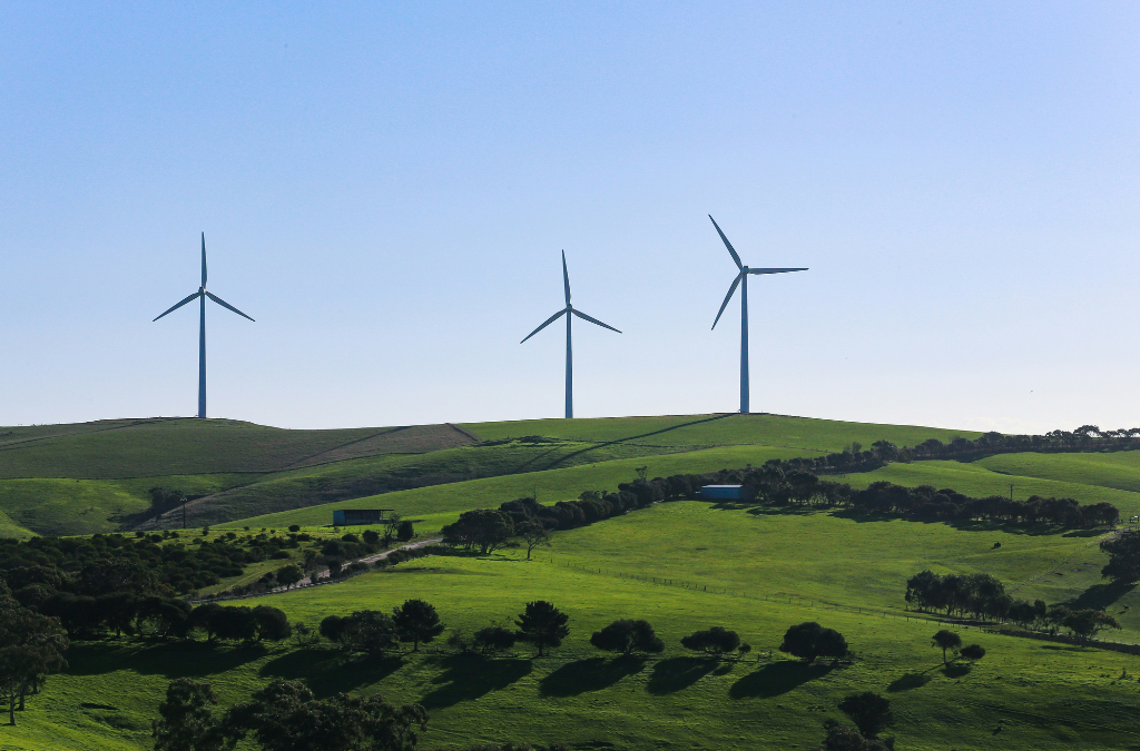 Wind turbines_Alex Eckermann